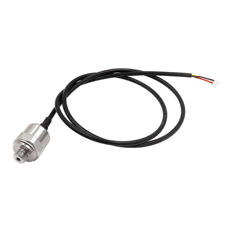 Industrieller Drucktransmitter mit 5VDC-Stromversorgung und korrosionsbeständigen SS304-Gehäusematerialien